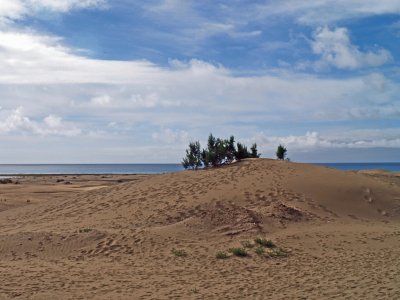 dunas maspalomas