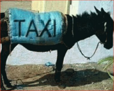 BURROTAXI