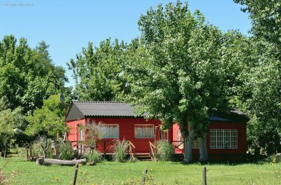 En Monasterio. Buenos Aires. Argentina