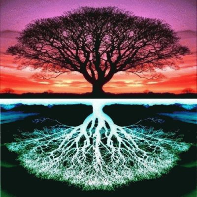 Tree of life