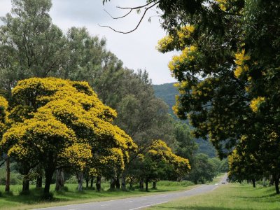 En la R338. TucumÃ¡n. Argentina