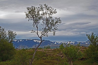 islÃ¤ndische landschaft