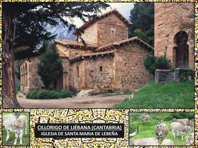 STA. MÂª.DE LEBEÃ‘A - CILLORIGO DE LIÃ‰BANA (CANTAB.)