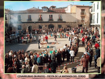 FIESTA DE LA MATANZA DEL CERDO - COVARRUBIAS