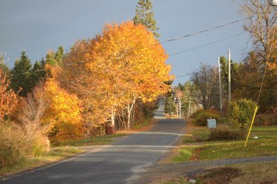 Residential Street