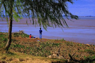 Isla del Cerrito. Chaco. Argentina