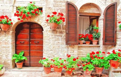 ventana con flores