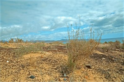 Fuerte Ventura / Pared