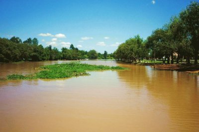 Villa Paranacito. Entre RÃ­os. Argentina