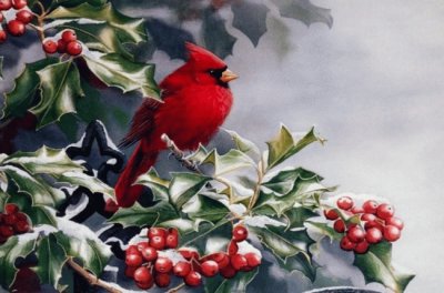 Cardinal and Berries