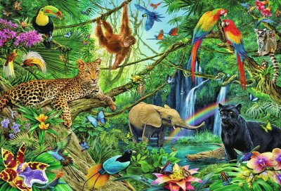 animales de la selva