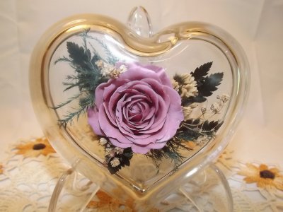 Freeze Dried Rose in Glass Heart