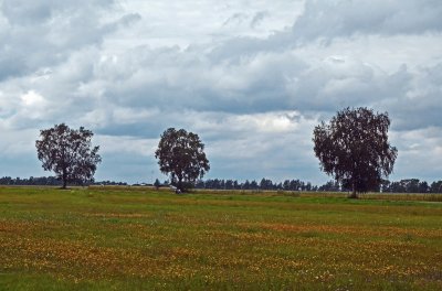 Baltikum / Lettland