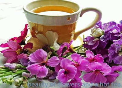 Beauty of Flowers and a Hot Tea-YUMMY!