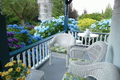 Beautiful Hydrangeas Surrounding Charming Porch