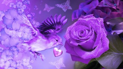 Beautiful Violet Rose with Bird and Butterflies