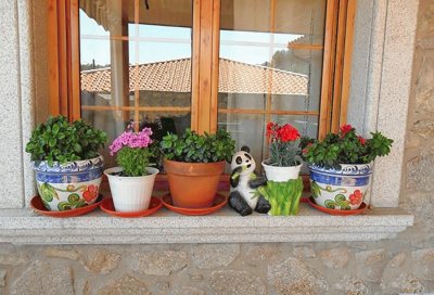 macetas en la ventana