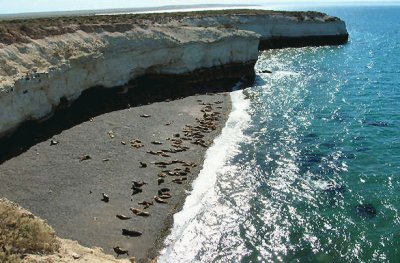 Punta Loma. Chubut. Argentina