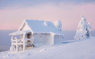 Vivienda y Ãrbol Nevados - Finlandia