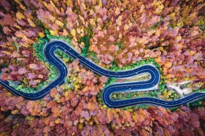 Bosque Bogata, Rumania, por Calin Stan