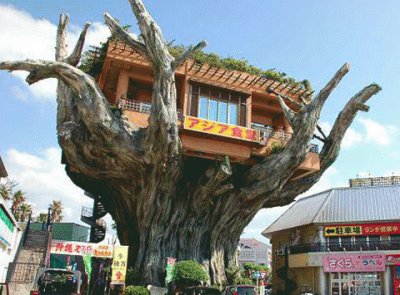 Treehouse Eatery in Japan