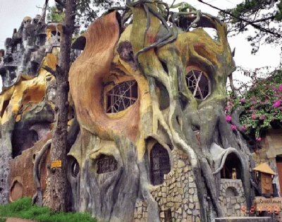 Crazy Tree House Hotel in Vietnam 2