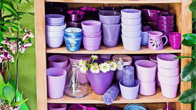 Pretty Garden Pots in Shades of Purple