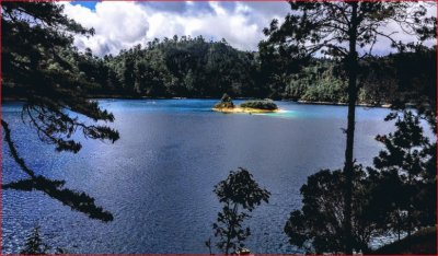 LAGO EN EL BOSQUE