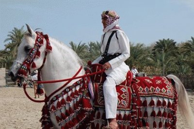 Arabian Horse Fashion Show in Bahrain