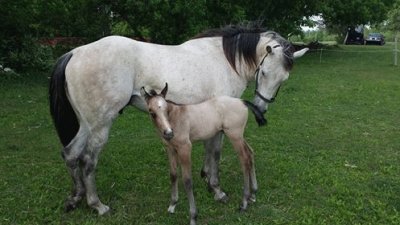 Heidi loving her baby TJ - Melodie Vosburgh