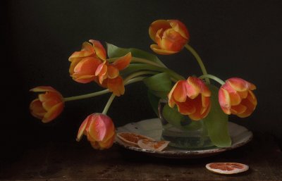 tulipes