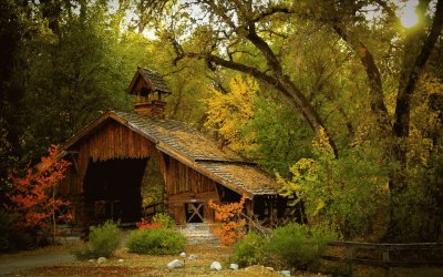 chalet en automne