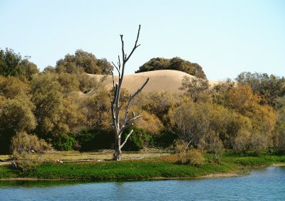 maspalomas