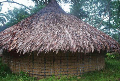 Churuatas. Edo. Amazonas - Venezuela