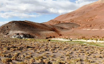 Vega de los Colorados. Catamarca. Argentina