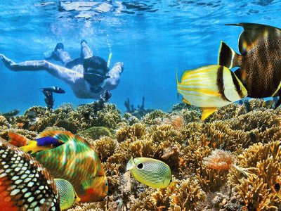 Snorkel. Los Roques - Venezuela