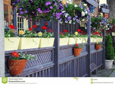 Restaurant Patio with Gorgeous Flowers