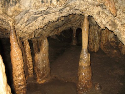 Cuevas del GuÃ¡charo. Monagas - Venezuela