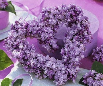 Lavender Heart Wreath