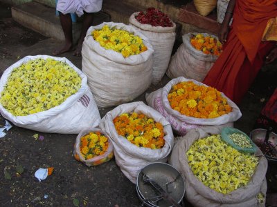 Bags of flowers, India