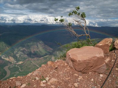 tarde de arco iris