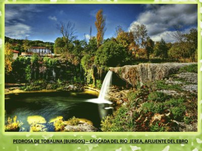 PEDROSA DE TOBALINA (BURGOS) - CASCADA RIO JEREA