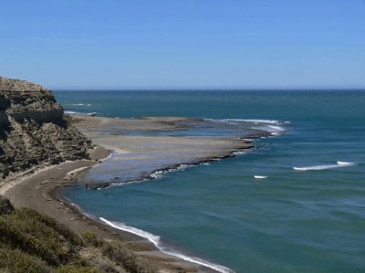 En la PenÃ­nsula de ValdÃ©s. Chubut. Argentina