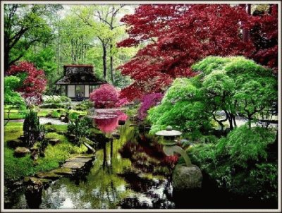 jardin japones