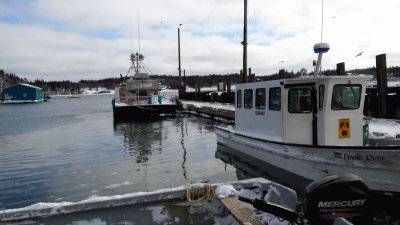 At the Harbour