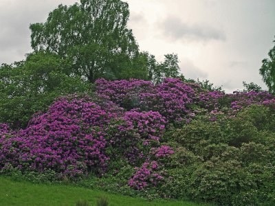 Schottland / Glasgow