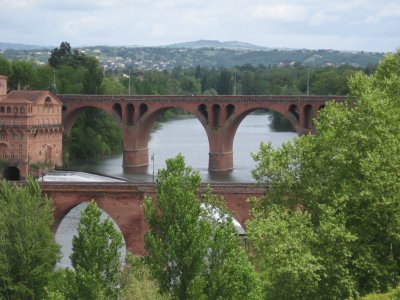 albi