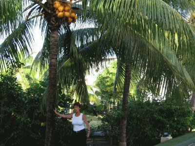 guadeloupe