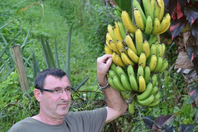 martinique