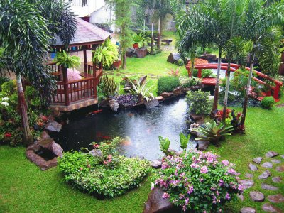 Amazing Backyard Landscaping